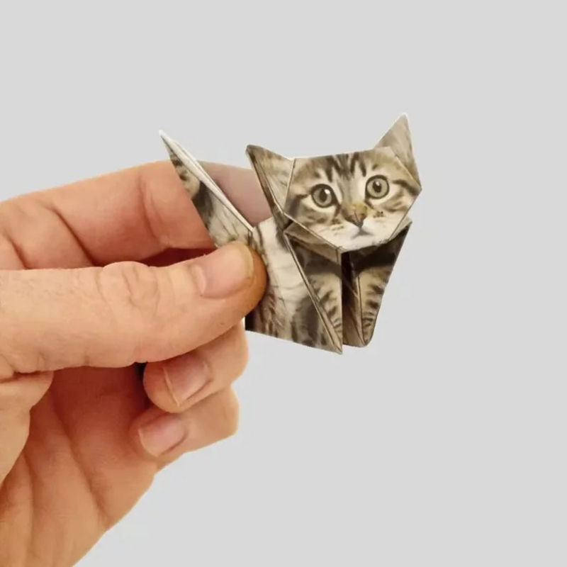 Creative DIY Paper Cats 50 She - Art Craft Dinosaurs recension och pris