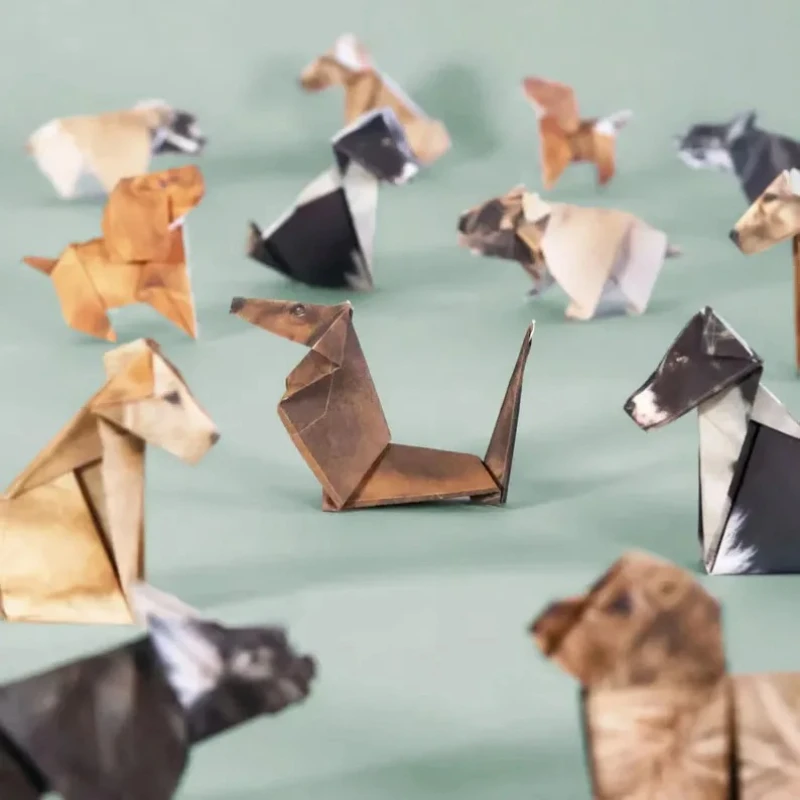 Creative DIY Origami Paper Set - Art Craft Dinosaurs recension och pris