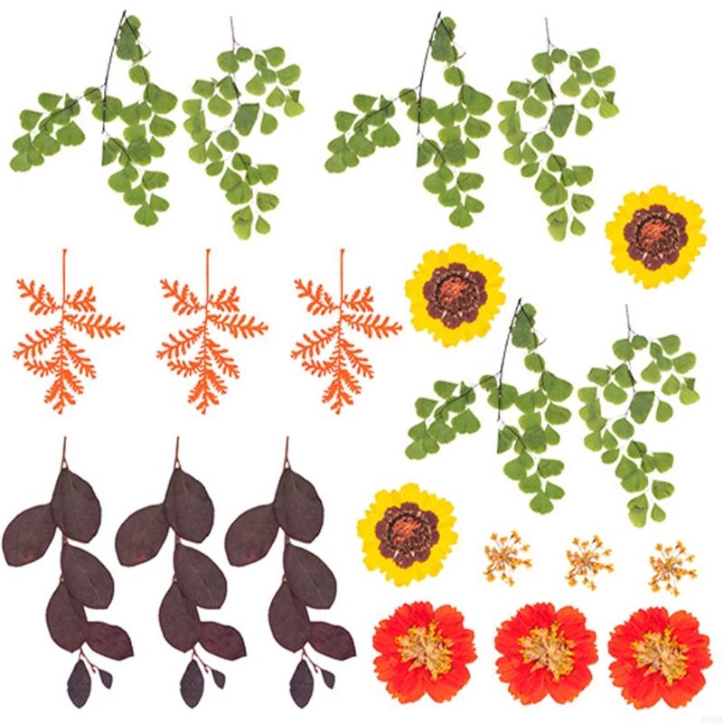 Natural Pressed Dried Flower F - Art Craft With Leaves recension och pris