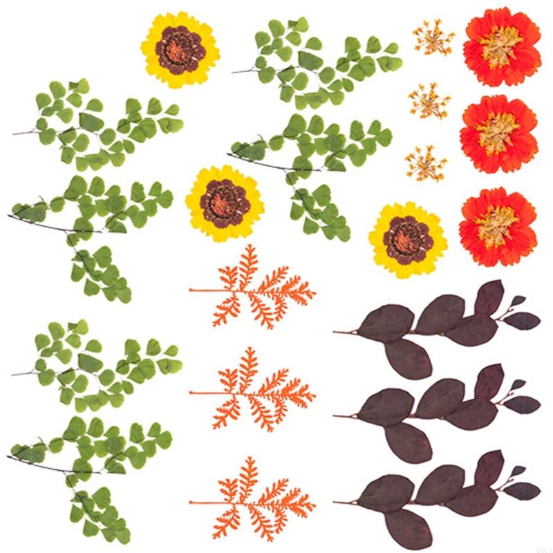 Natural Pressed Dried Flower F - Art Craft With Leaves recension och pris
