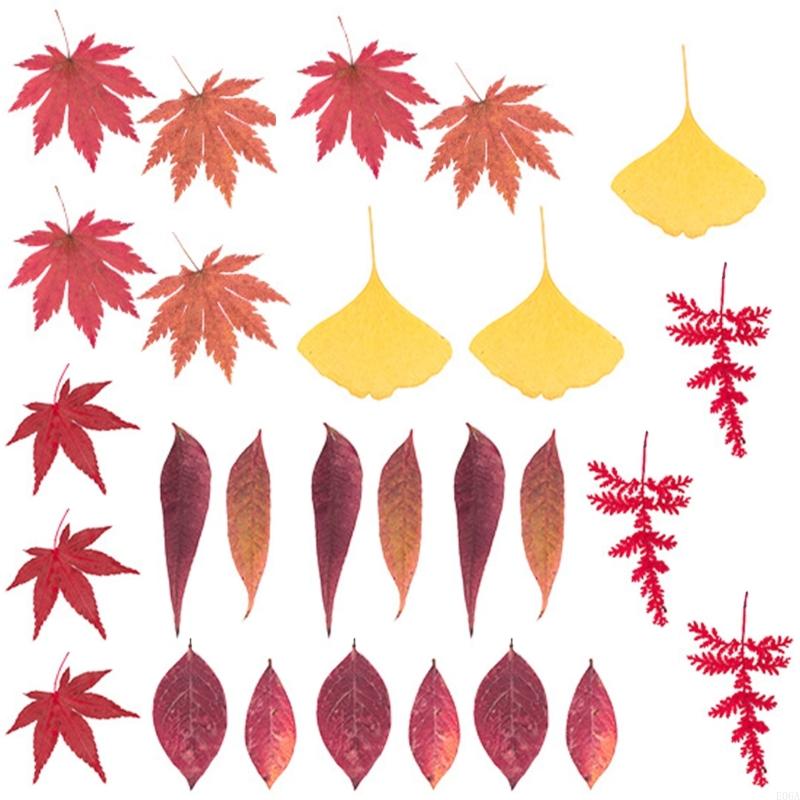 Natural Pressed Dried Flower F - Art Craft With Leaves recension och pris